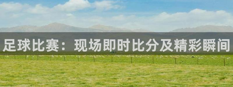  足球比赛：现场即时比分及精彩瞬间