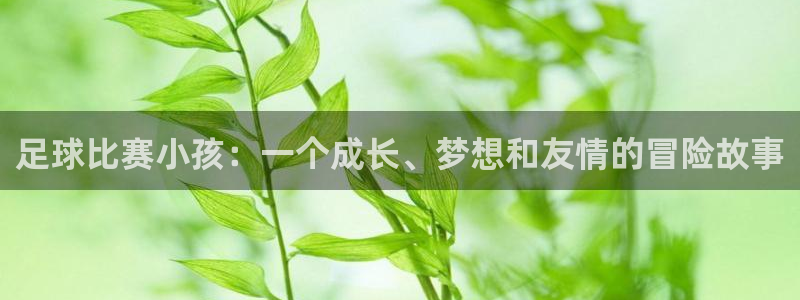 足球比赛小孩：一个成长、梦想和友情的冒险故事