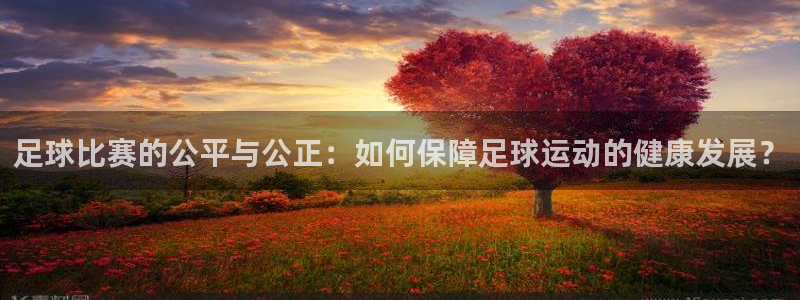  足球比赛的公平与公正：如何保障足球运动的健康发展？