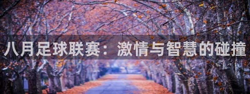 八月足球联赛：激情与智慧的碰撞