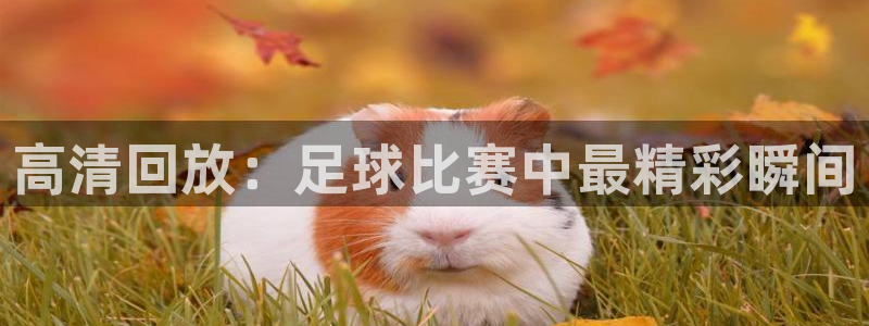  高清回放：足球比赛中最精彩瞬间