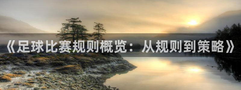  《足球比赛规则概览：从规则到策略》