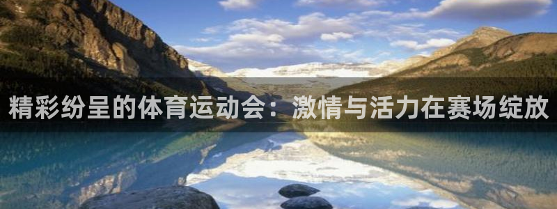哈哈体育十年：精彩纷呈的体育运动会：激情与活力在赛场绽放