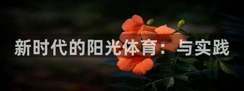 哈哈体育十年：新时代的阳光体育：与实践