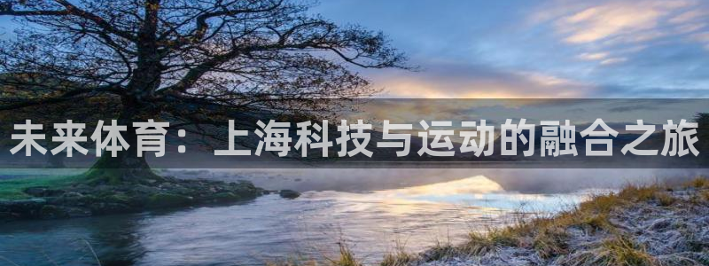 哈哈体育十年：未来体育：上海科技与运动的融合之旅