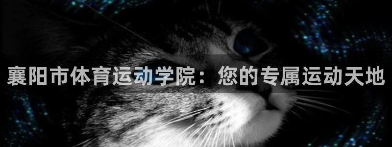 哈哈体育下载：襄阳市体育运动学院：您的专属运动天地