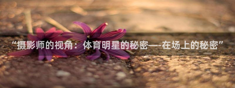 哈哈体育：“摄影师的视角：体育明星的秘密—-在场上的秘密”