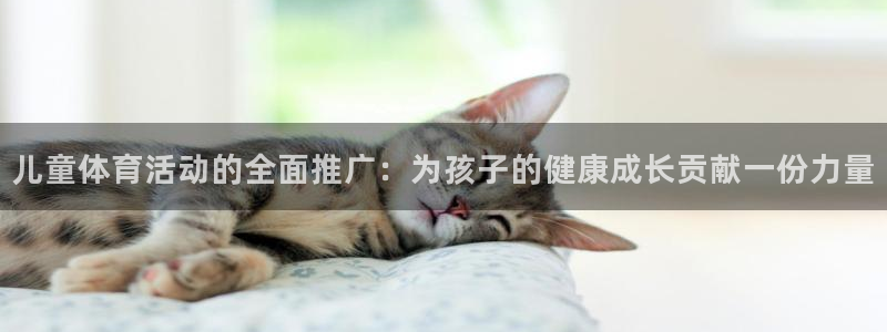 哈哈体育十年：儿童体育活动的全面推广：为孩子的健康成长贡献一份力量