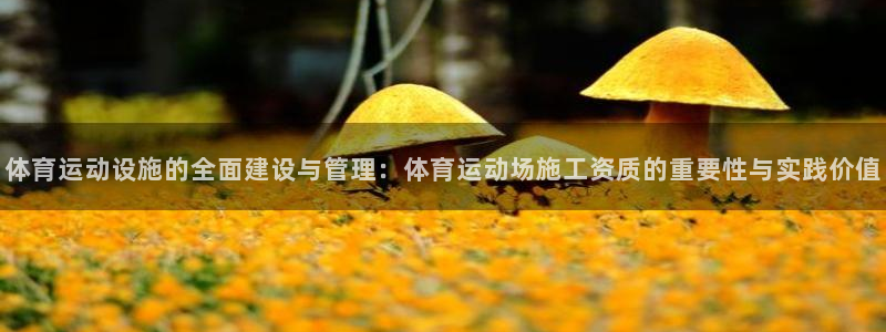 哈哈体育十年：体育运动设施的全面建设与管理：体育运动场施工资质的重要性与实践价值