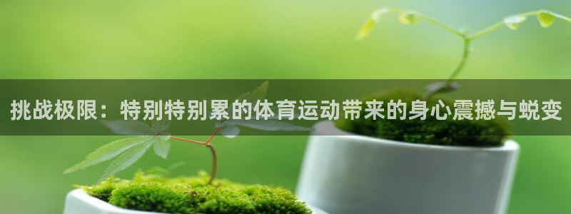 哈哈体育下载：挑战极限：特别特别累的体育运动带来的身心震撼与蜕变