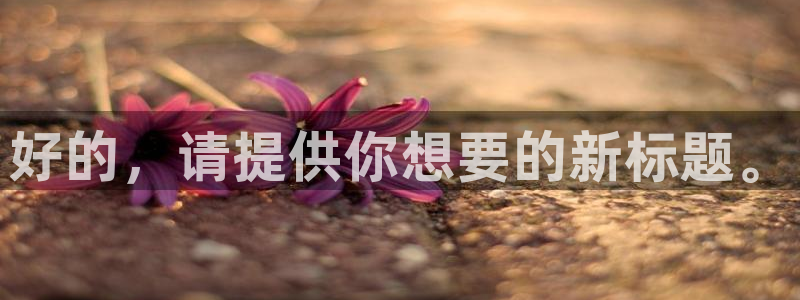 哈哈体育十年：好的，请提供你想要的新标题。