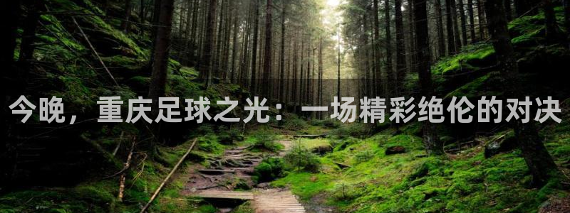  今晚，重庆足球之光：一场精彩绝伦的对决