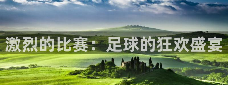 激烈的比赛:足球的狂欢盛宴