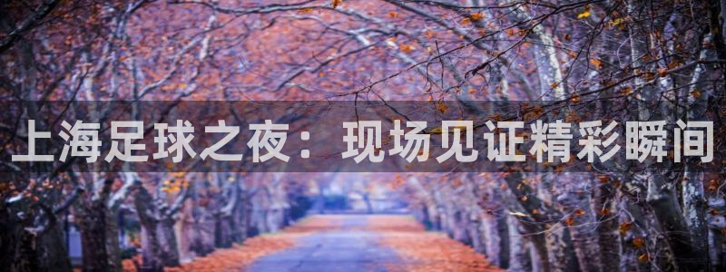上海足球之夜:现场见证精彩瞬间