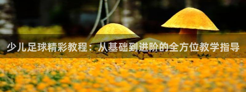  少儿足球精彩教程：从基础到进阶的全方位教学指导
