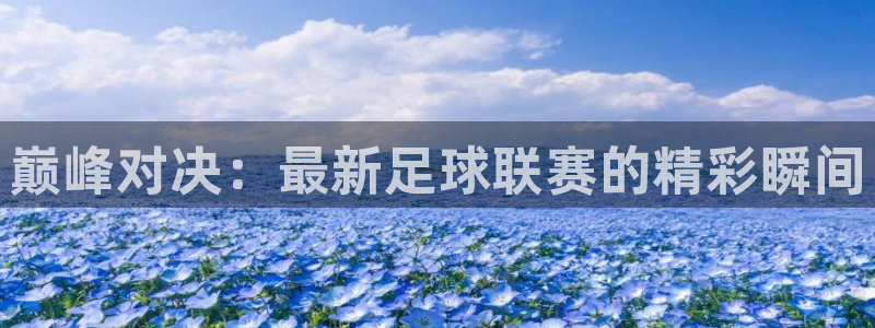  巅峰对决：最新足球联赛的精彩瞬间