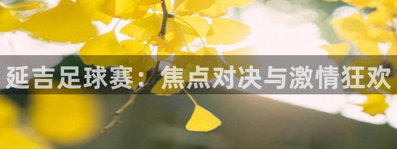 延吉足球赛：焦点对决与激情狂欢