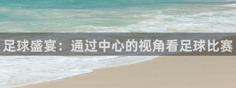 足球盛宴:通过中心的视角看足球比赛