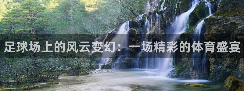 足球场上的风云变幻:一场精彩的体育盛宴