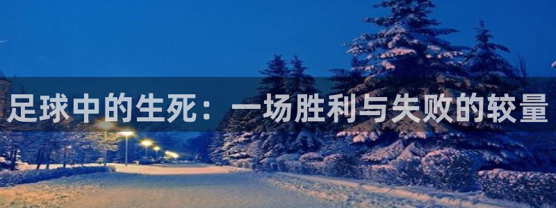 足球中的生死：一场胜利与失败的较量
