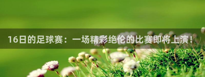  16日的足球赛：一场精彩绝伦的比赛即将上演！