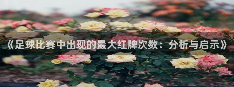 《足球比赛中出现的最大红牌次数:分析与启示》