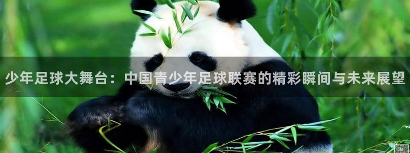 少年足球大舞台：中国青少年足球联赛的精彩瞬间与未来展望