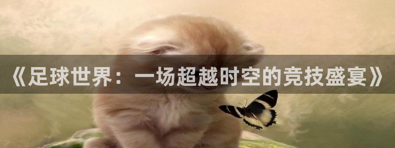 《足球世界：一场超越时空的竞技盛宴》