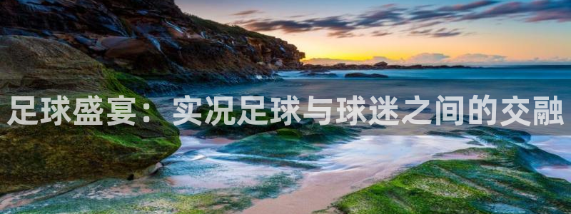 足球盛宴：实况足球与球迷之间的交融