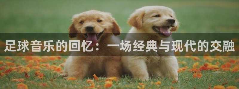 足球音乐的回忆：一场经典与现代的交融